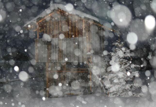 Schneetreiben im Garten