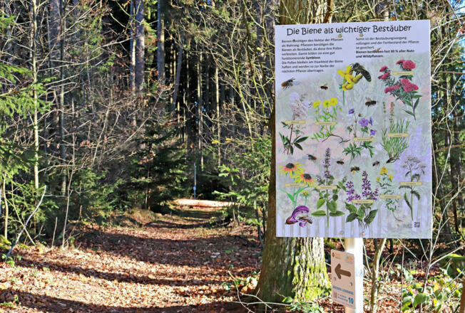 Bienenweg Velden mit Infotafel