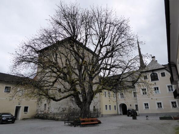 Ein stiller Innenhof inmitten von Bischofshofen, gelegen zwischen Kastenturm und Rathaus.