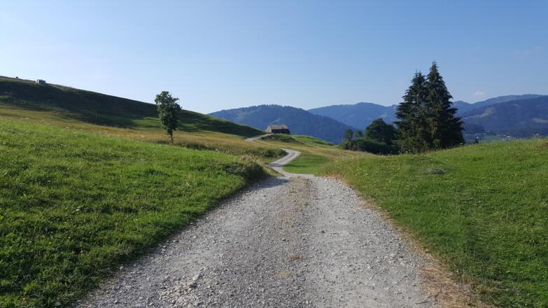 Schetteregg im Sommer