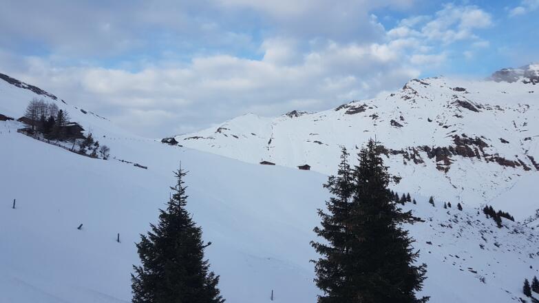 Endlich raus aus dem Wald