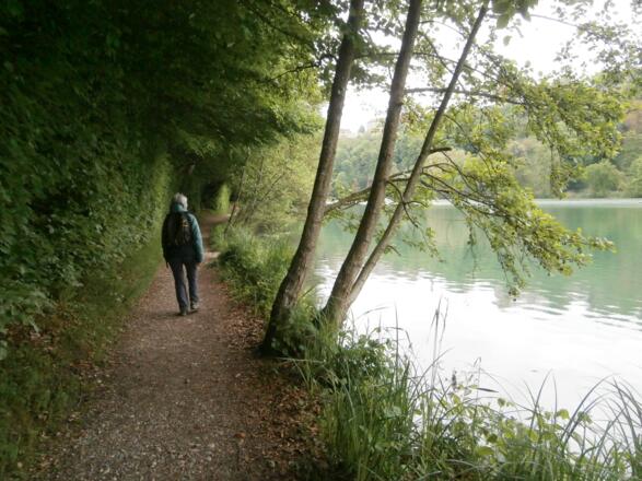 Am Wöhrsee Westufer entlang