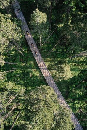 Böhmerwald Wandern Hochmoor Bayrische Au Luftaufnahme