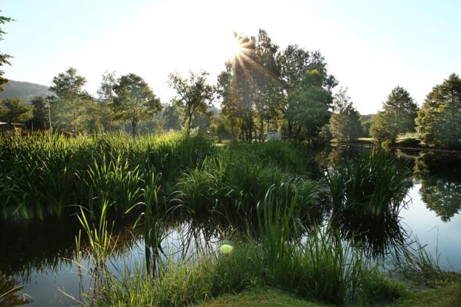 Freizeitzentrum Kranzling Haslach an der Mühl