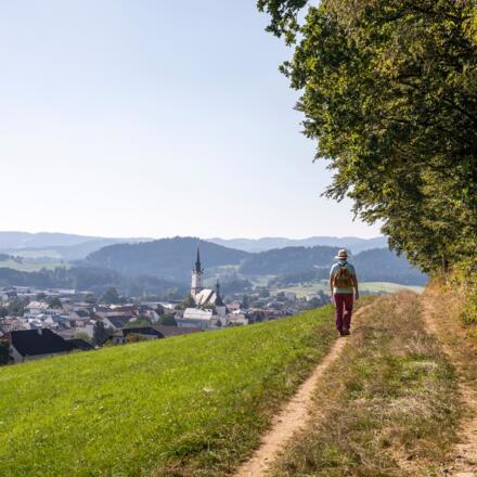 Panoramaweg Rohrbach-Berg