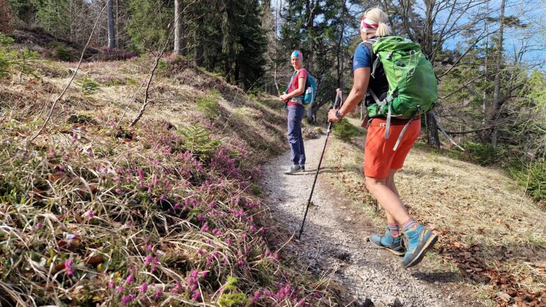 Auf dem Weg zur Hochalm