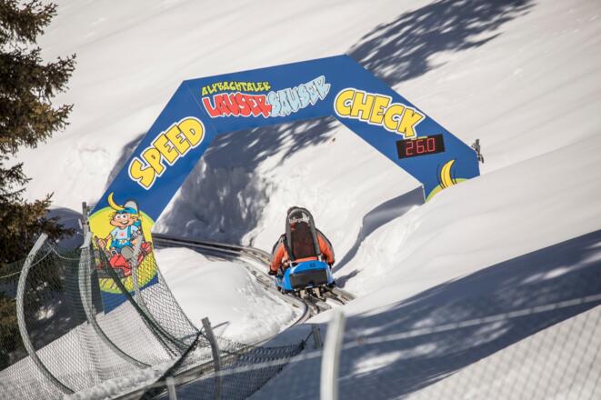 Lauser Sauser Speed Check