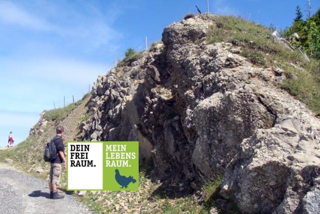 Der Felsaufschluss direkt am Weg