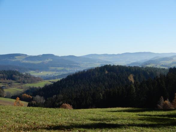Ausblick am Kirsteig Rohrbach-Berg