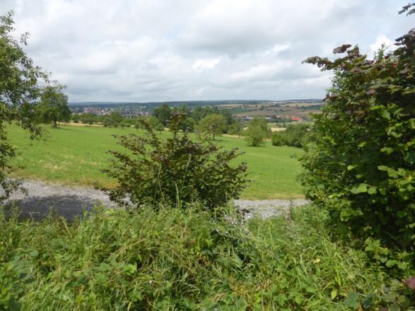 Blick über das Biet.