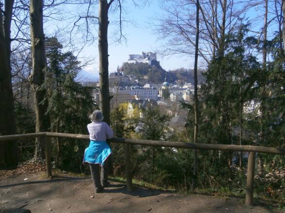 Bürglsteinausblick