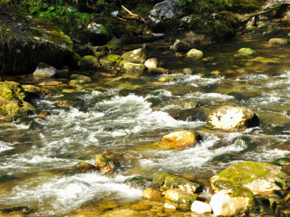 Das Wasser der Traun