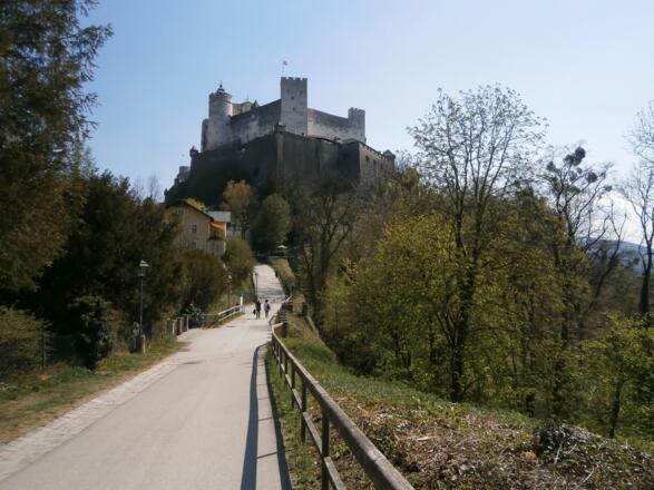 Am Oskar-Kokoschka-Weg