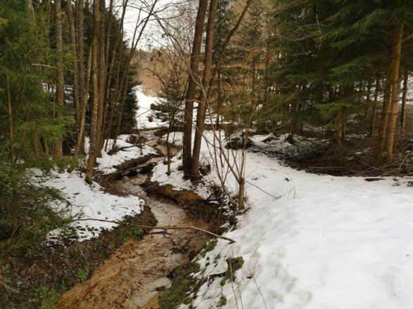 Bachlauf in Berbersdorf