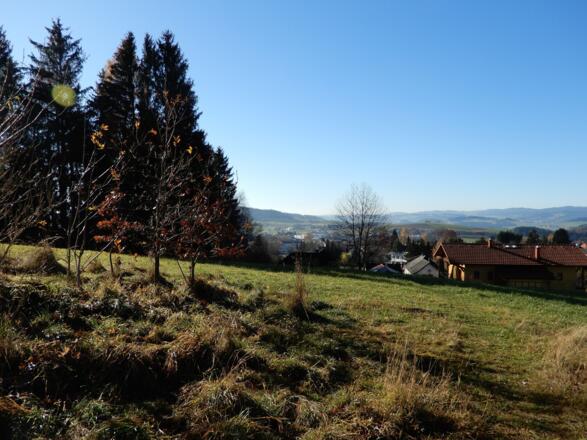 Weitblick am Kirsteig Rohrbach-Berg