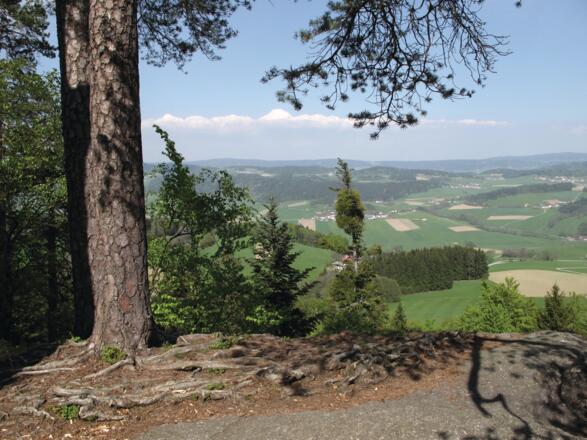 Kühstein Peilstein Aussichtspunkt