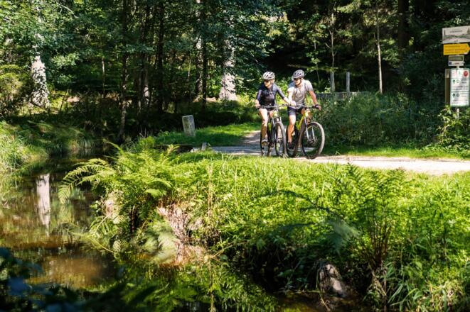 Mountainbiken Schwemmkanal Rotbachschleuse