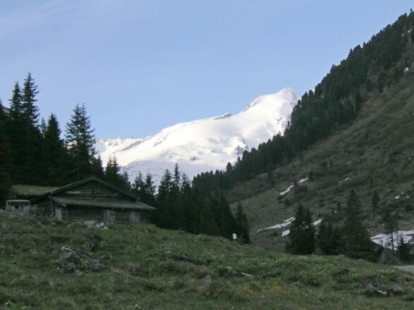 Gabler von der Trisslalm
