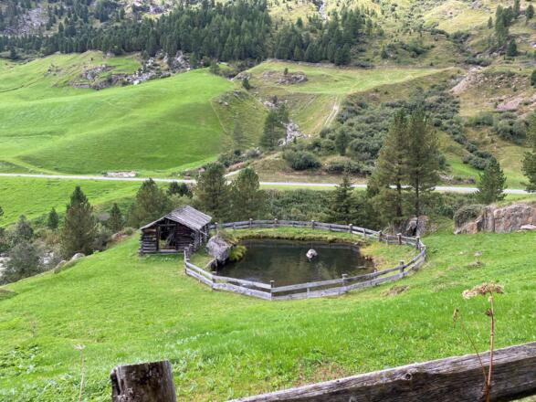 See im Feld Richtung Vent
