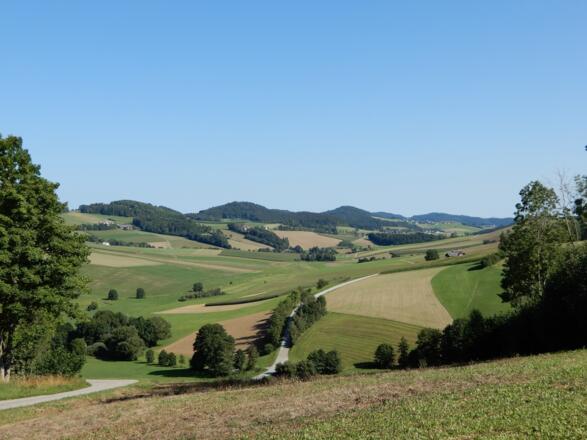 Weitblick am Hochwaldweg Peilstein