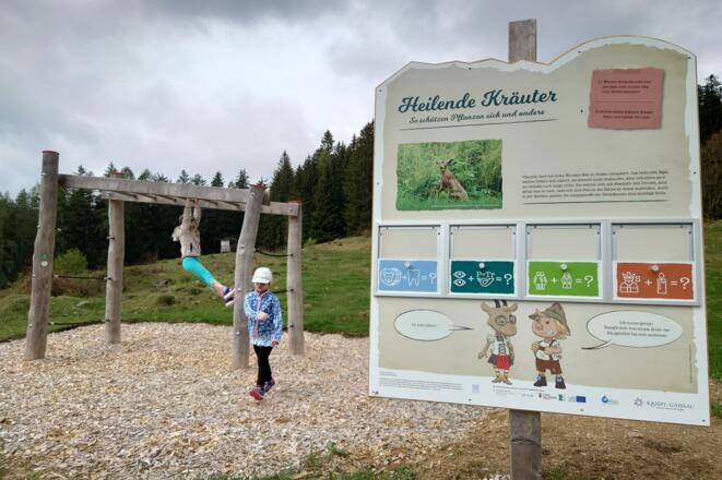 Hangelleiter mit Kräuterrätsel