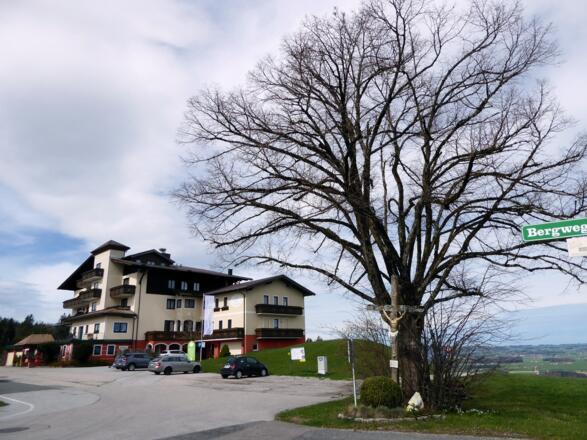 Vor dem Hotel Hochfuchs zweigt der unmarkierte Weg nach Eugendorf nach rechts ab.