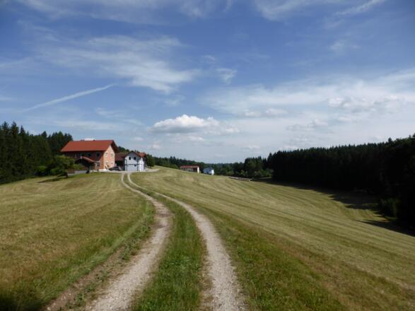 Durch Wald und Wiesen Richtung Maria Schmolln