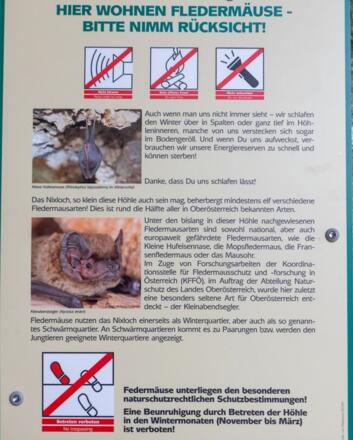 Fledermäuse, Nixloch im Winter nicht betreten!