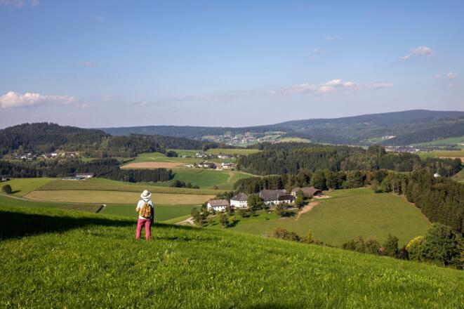 Panoramaweg Rohrbach-Berg