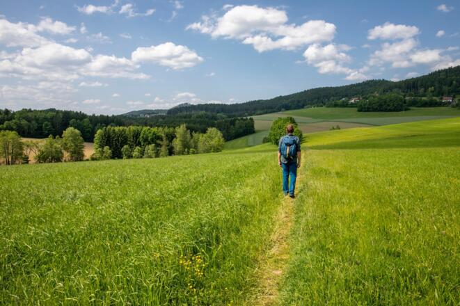 Naturerlebnisweg Haslach