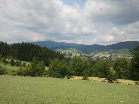 Sonniger Steig vor Kandlschlag