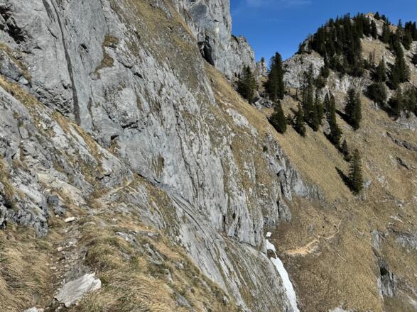 Purtschellersteig - teilweise seilversicherte Wandquerung/Abstieg