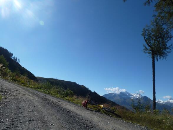 Oberhalb der Enzianhütte fährt man zumeist durch Wald.