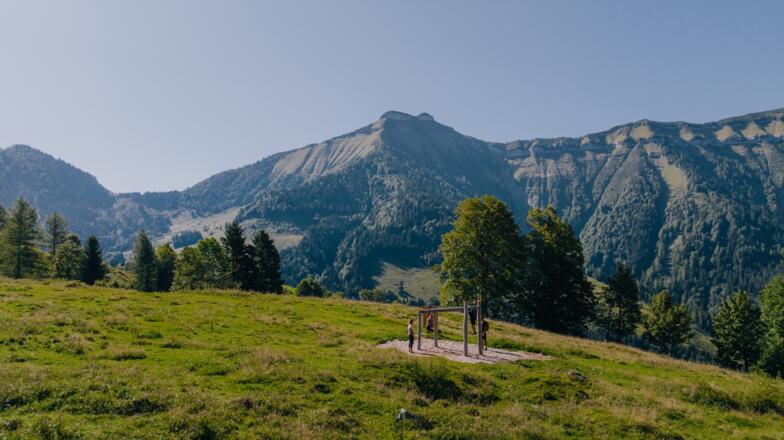 Hangelleiter mit traumhaften Blick auf den Schmittenstein!