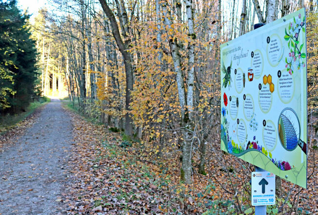 Bienenweg Velden mit Infotafel
