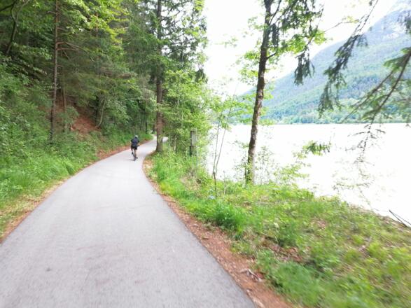 Am Saalachstausee