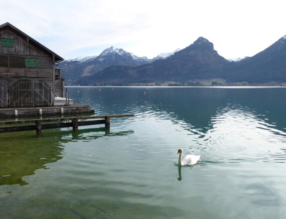 Am Ende der wunderbaren Reise in St. Wolfgang.