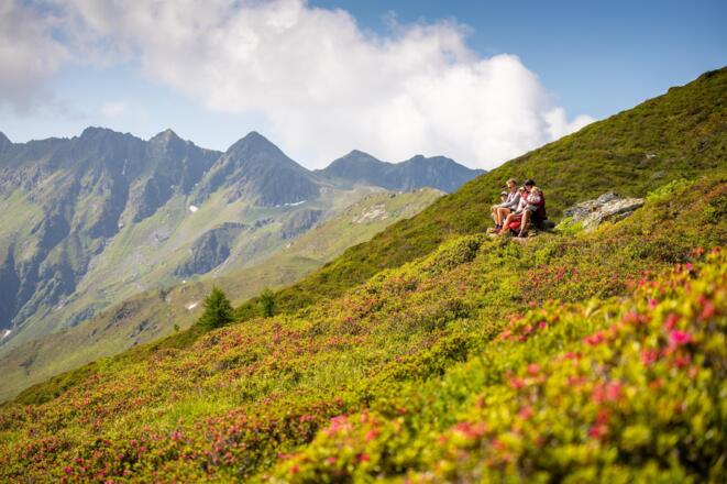 Familienrast im Almrosenmeer