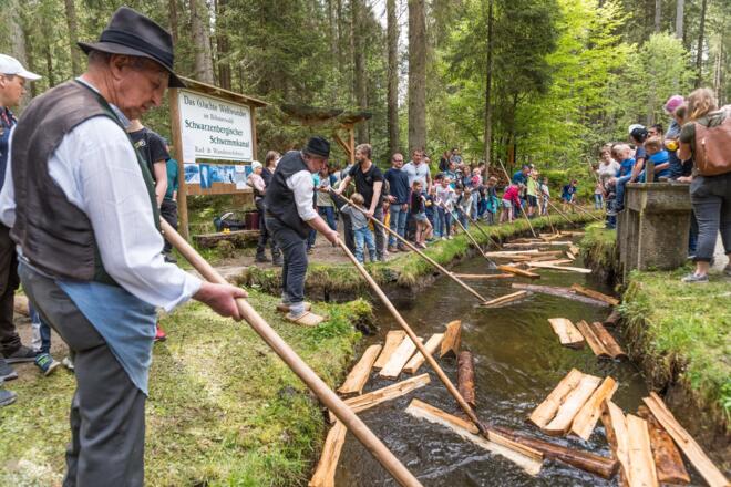 Schauschwemmen am Schwarzenbergischen Schwemmkanal