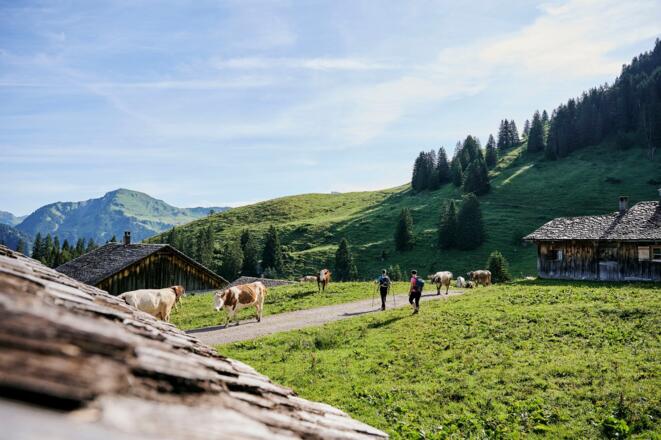 Zu Fuß unterwegs und dabei das herrliche Panorama genießen