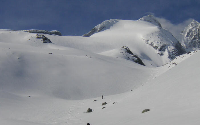 Wildgerloskees zum Gabler