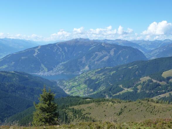 Der lange Abstieg durch das Thumersbachtal vom Abzweig unterhalb des Ochsenkopfes.