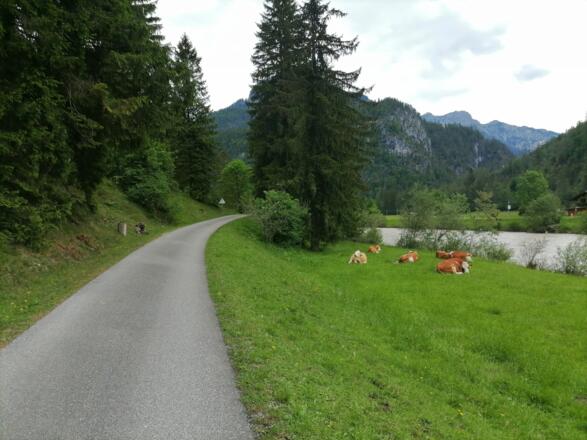 Radweg bei St. Martin/Lofer