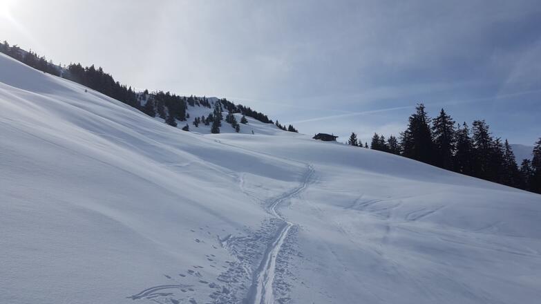Nach dem Wald öffnen sich die Almflächen