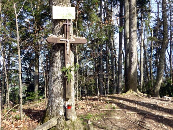 Der eher unscheinbare Heuberggipfel lässt durch den dichten Wald leider keine weiten Aussichten zu.