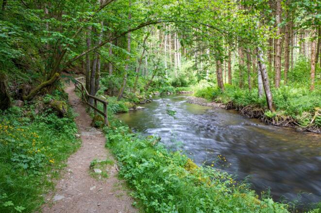 Naturerlebnisweg Haslach