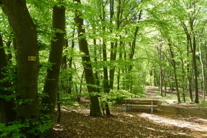Riedenburger Rundwanderweg Nr.11