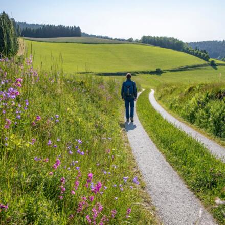 Themenweg Helfenberg
