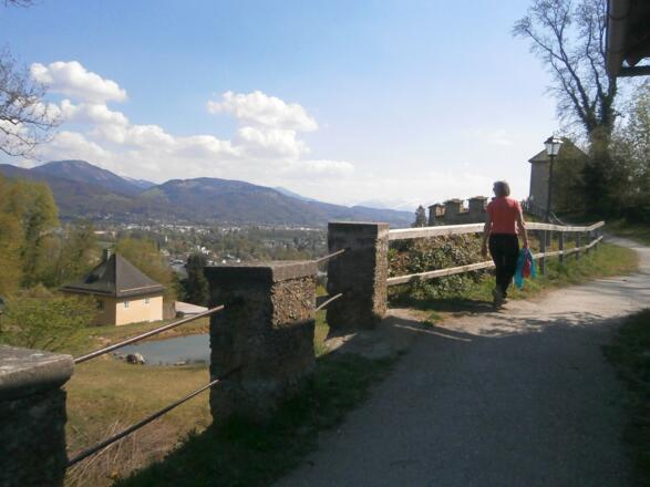 Am Weg zur Richterhöhe