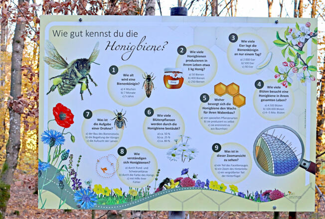 Infotafel Bienenweg Velden